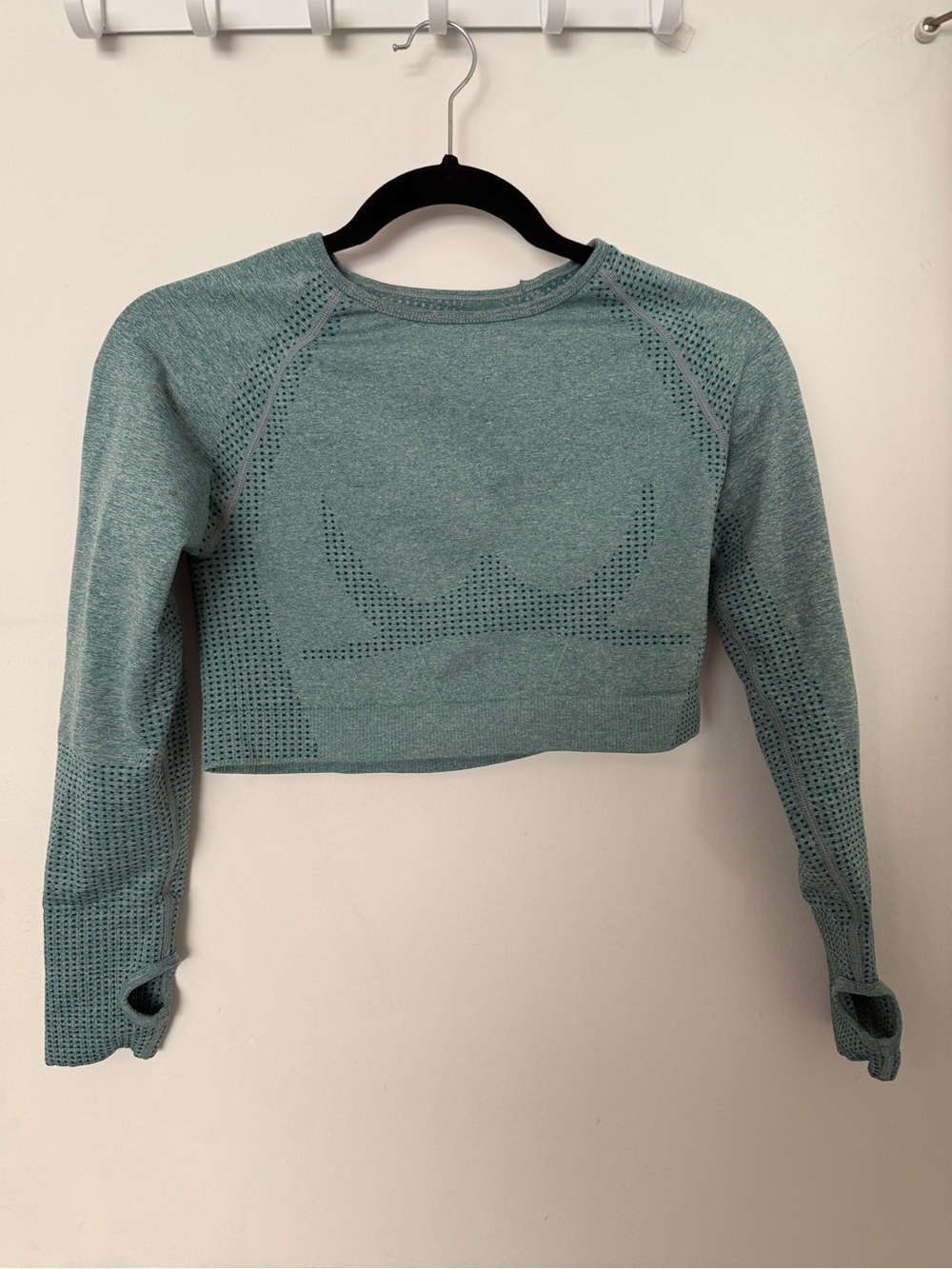 YNS Generic Teal Seamless Long-Sleeve Crop Top